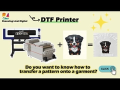 Maintop DTF-printer met Epson XP600 printkop en pigmentinkt